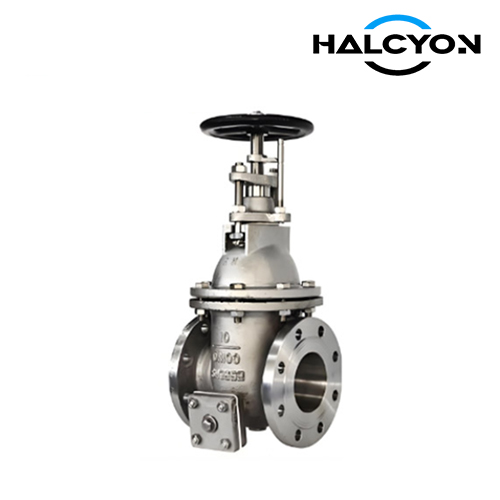 CB/T3955 Stainless Steel Gate Valve